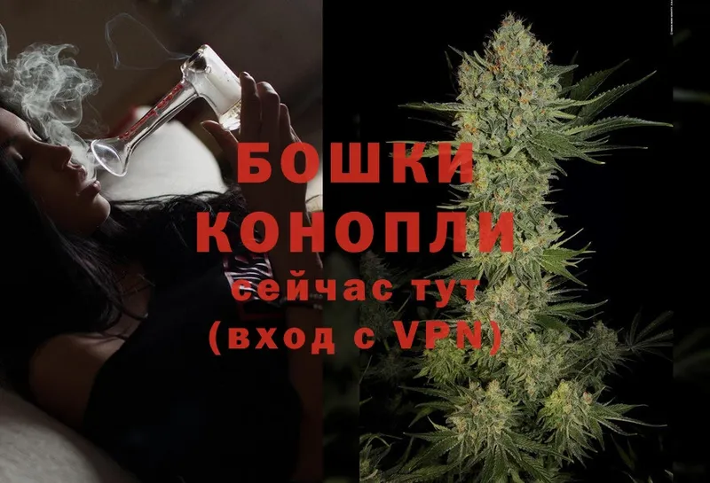 Марихуана OG Kush  магазин продажи   Миллерово 